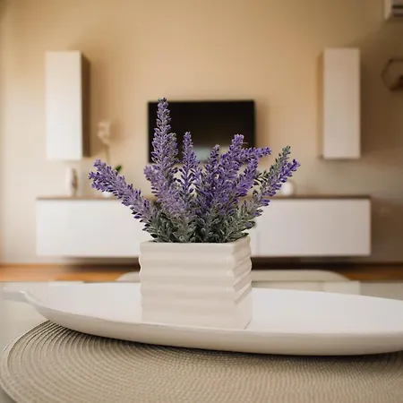 Apartman Vita Apartment *